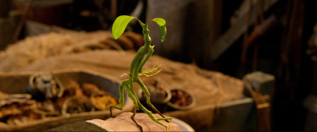 ftb203_fantastic_beasts_and_where_to_find_them_a_new_hero_featurette_2275