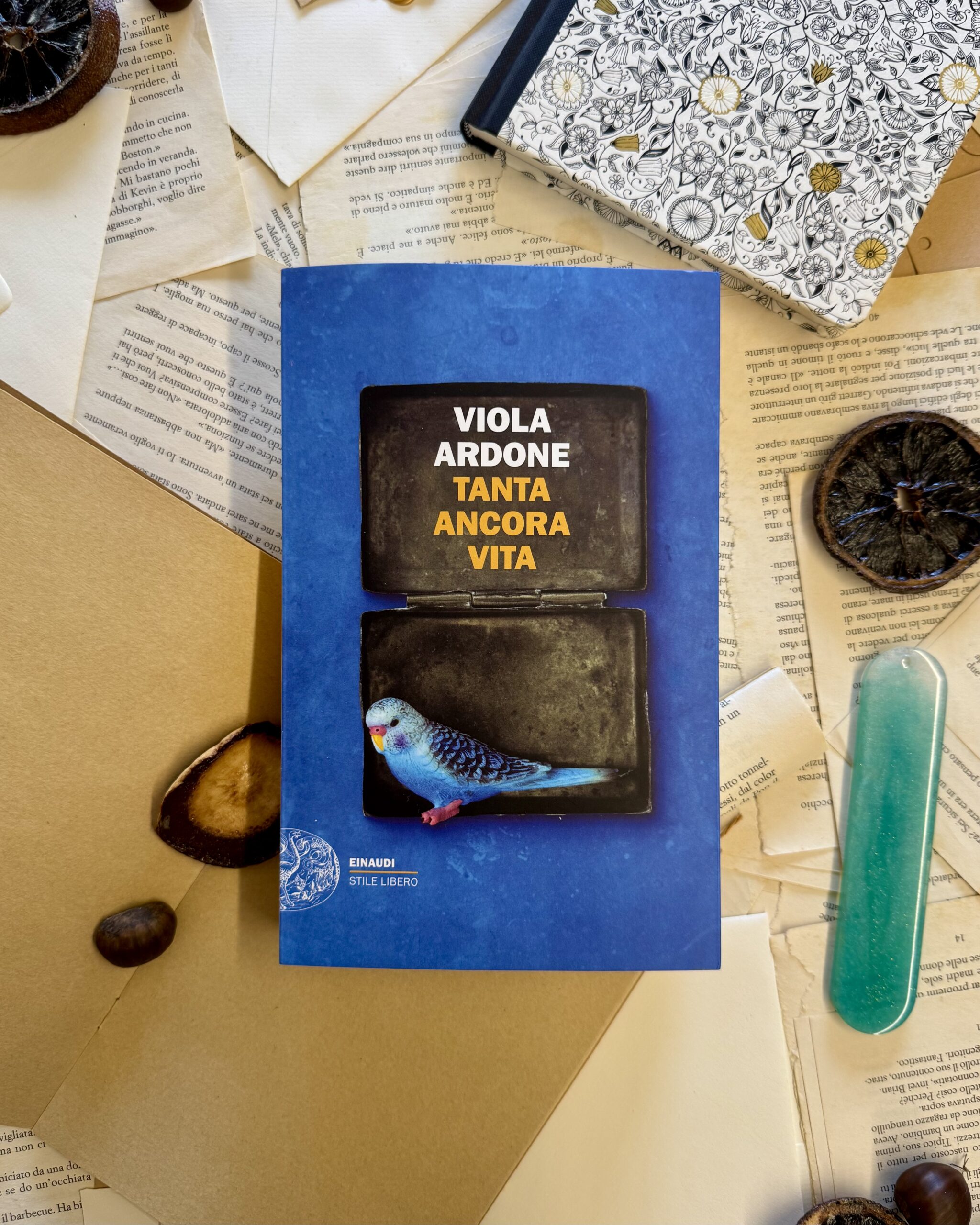 Tanta ancora Vita, Viola Ardone, Einaudi, romanzo, Oliva Denaro, Il treno dei bambini, Grande Meraviglia, famiglia, guerra, malattia, solitudine, forza, paura, negazione, realtà, depressione, lutto, Ucraina
